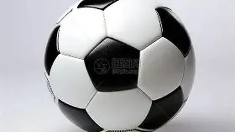 拜仁签约金玟哉，转会金5000万欧，合同至2028年